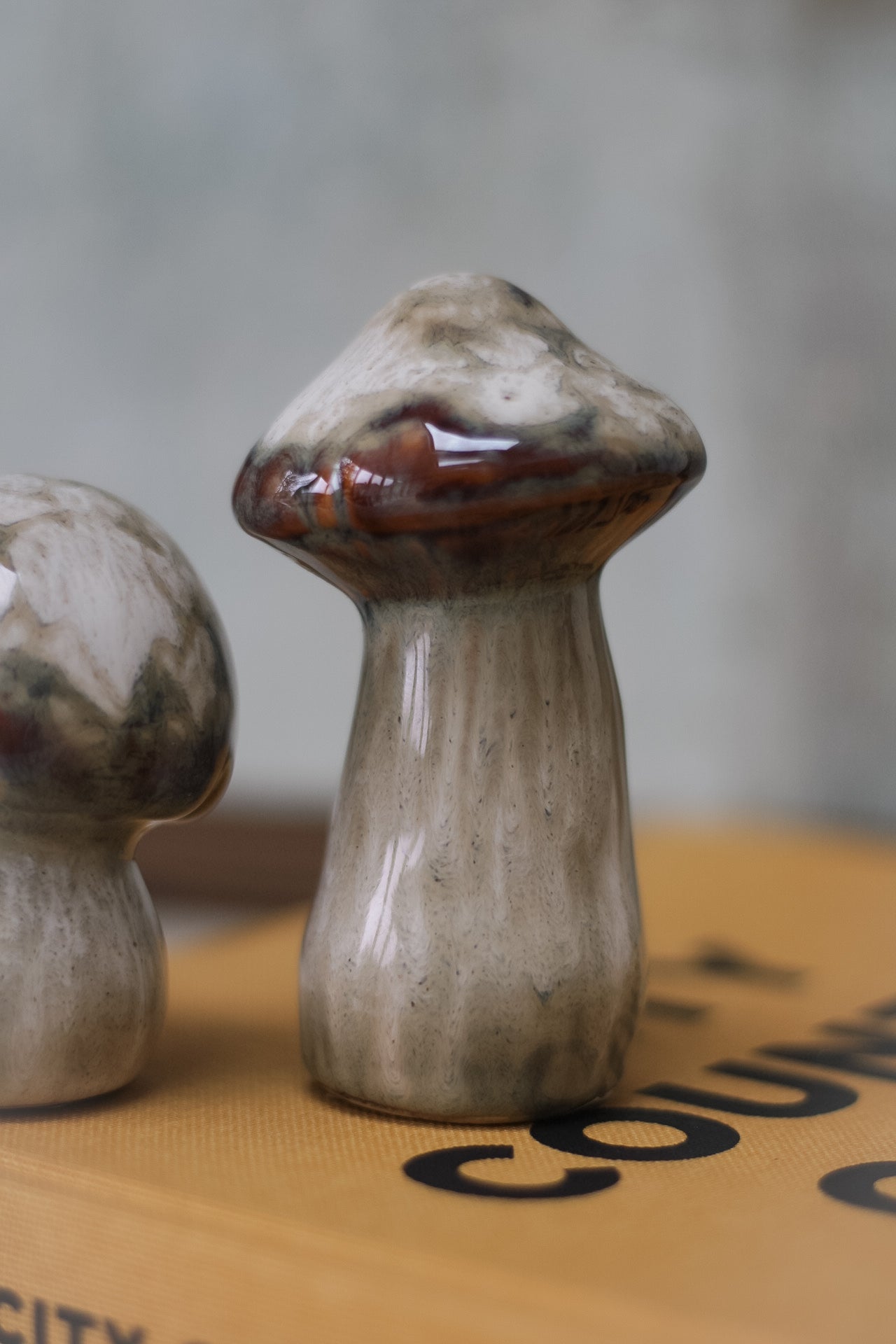 Beige Porcelain Mushrooms 002