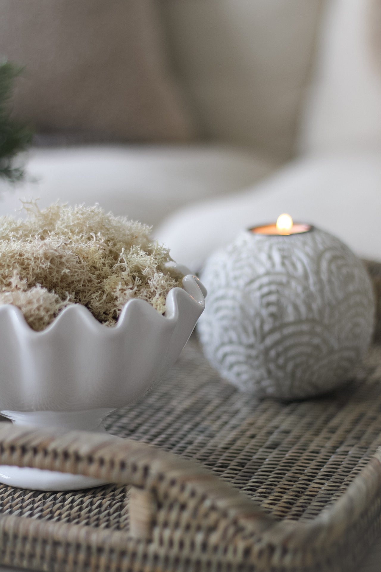 Box of Real White Moss