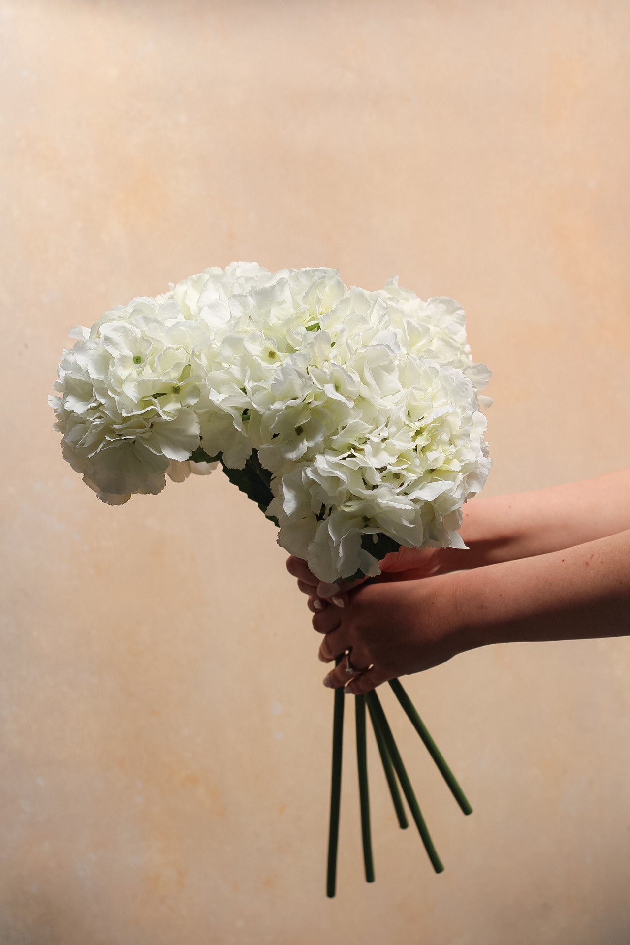 elegant bunch of hydrangea stems