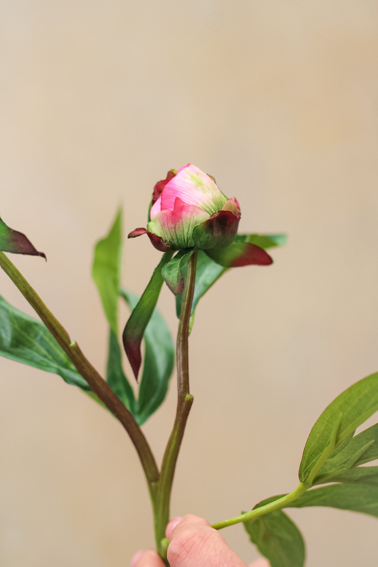 bud peony stem for home decor