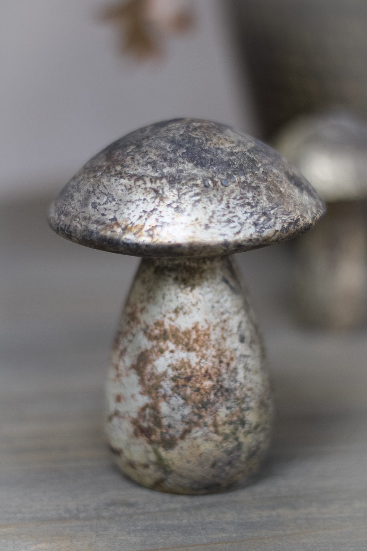 Up close of aged earthy toned mushroom