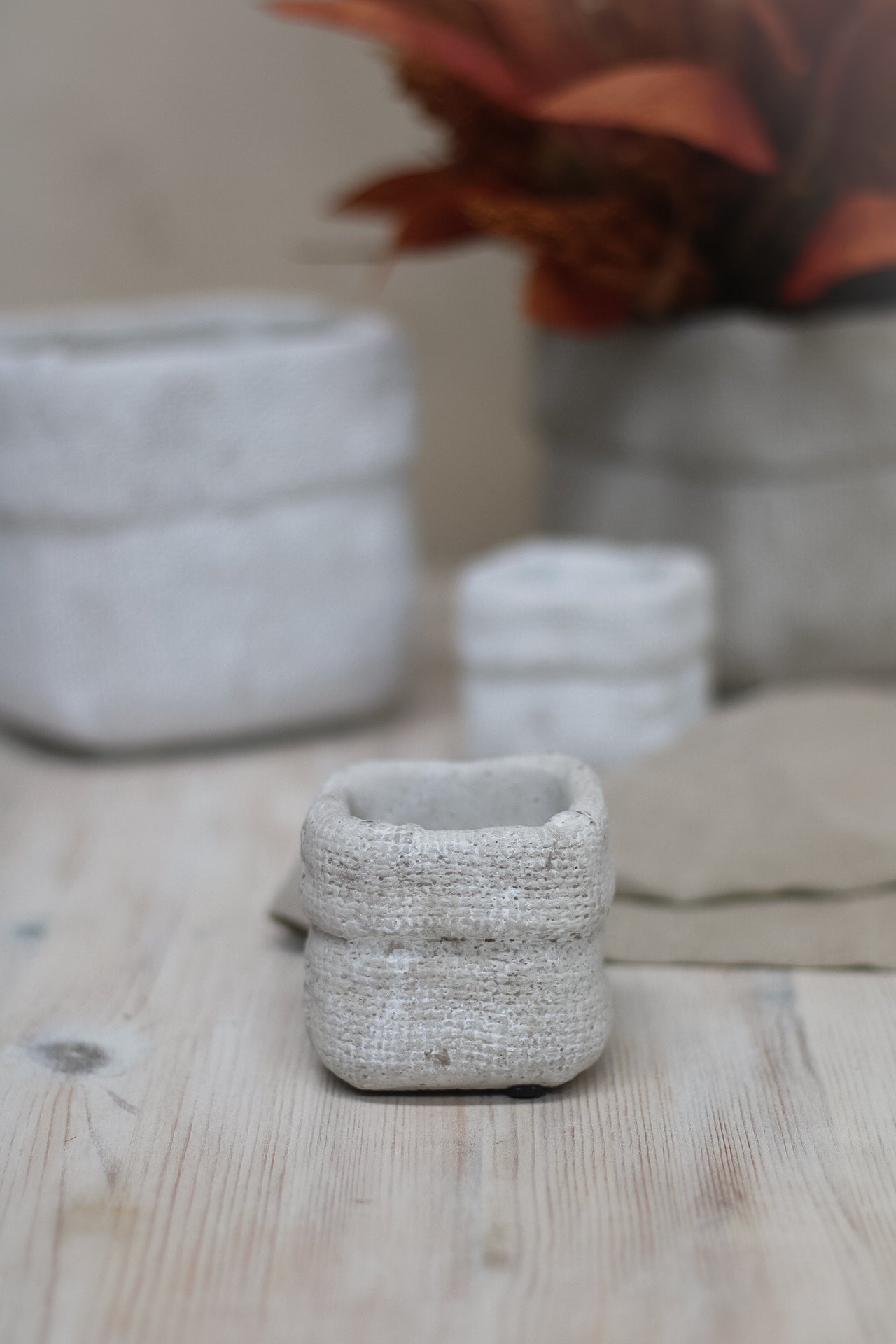 Textured Cement Flower Pot