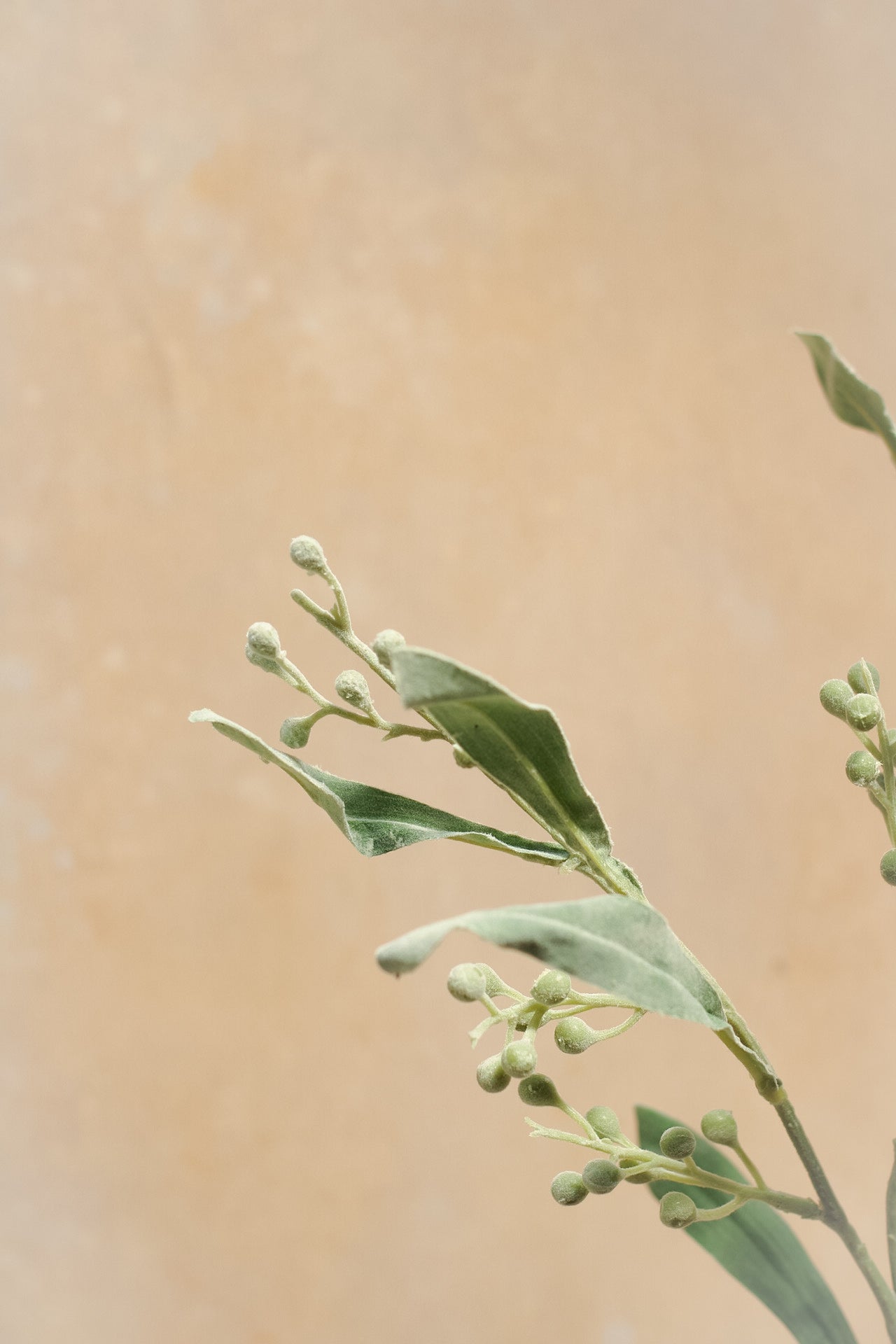 Faux Grey Eucalyptus With Berries Stem