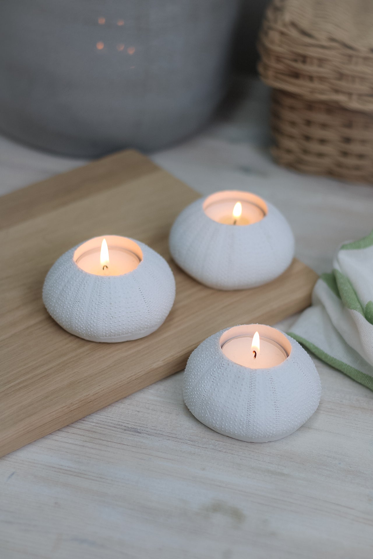 White Sea Urchin Candleholder