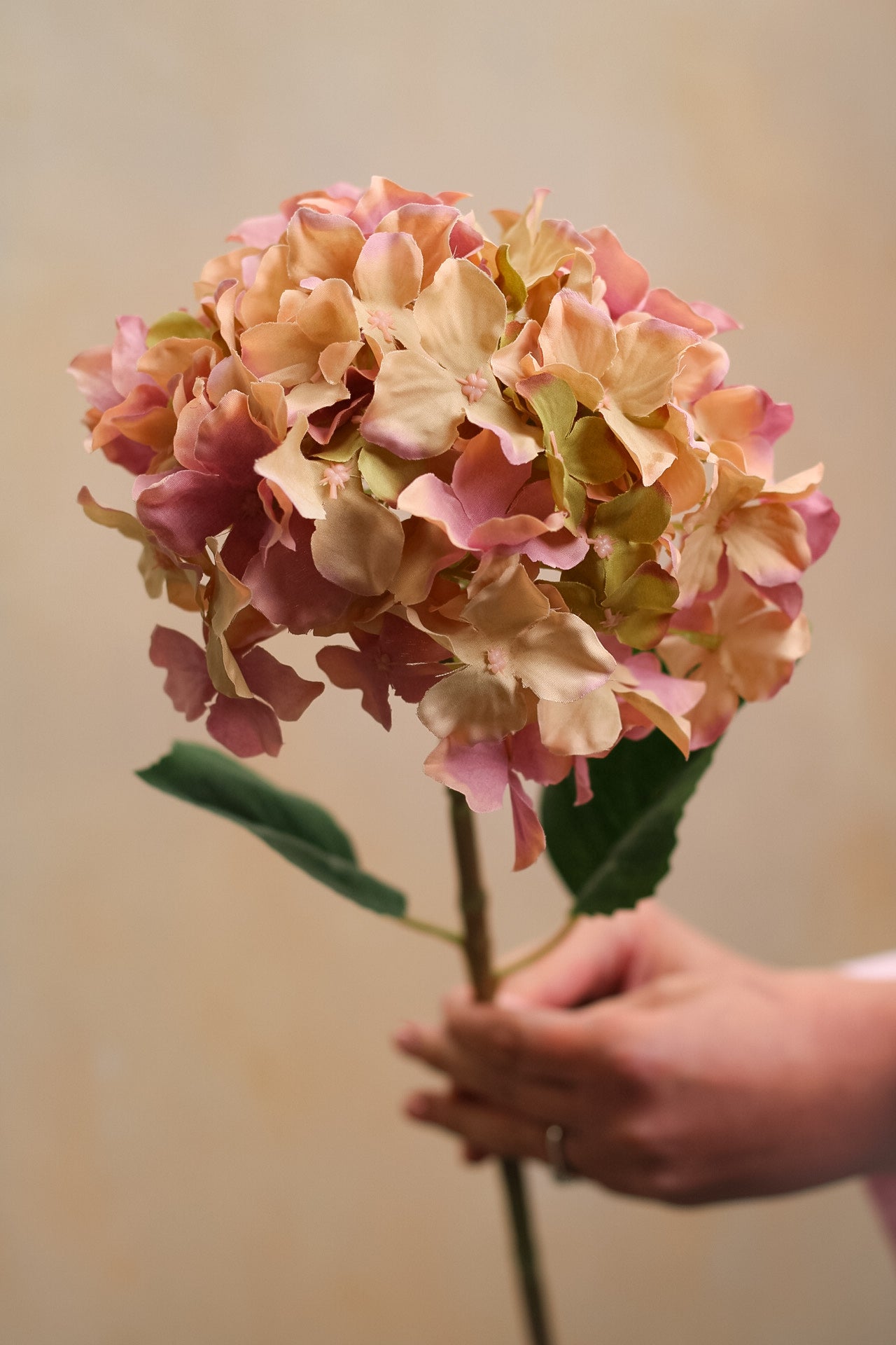 Faux Summer Blush Hydrangea Stem