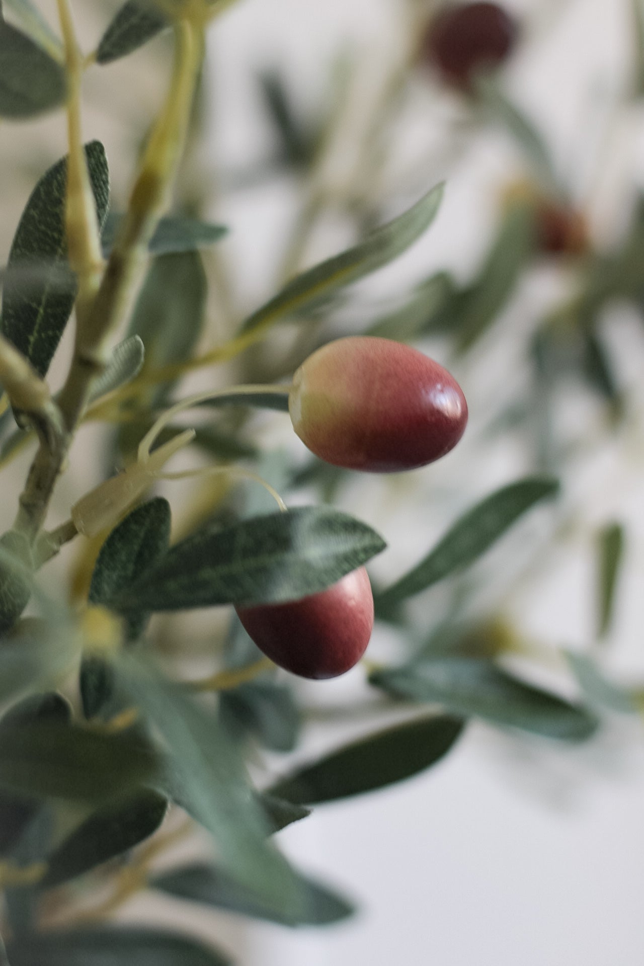 Faux Natural Olive Tree in Aged Pot