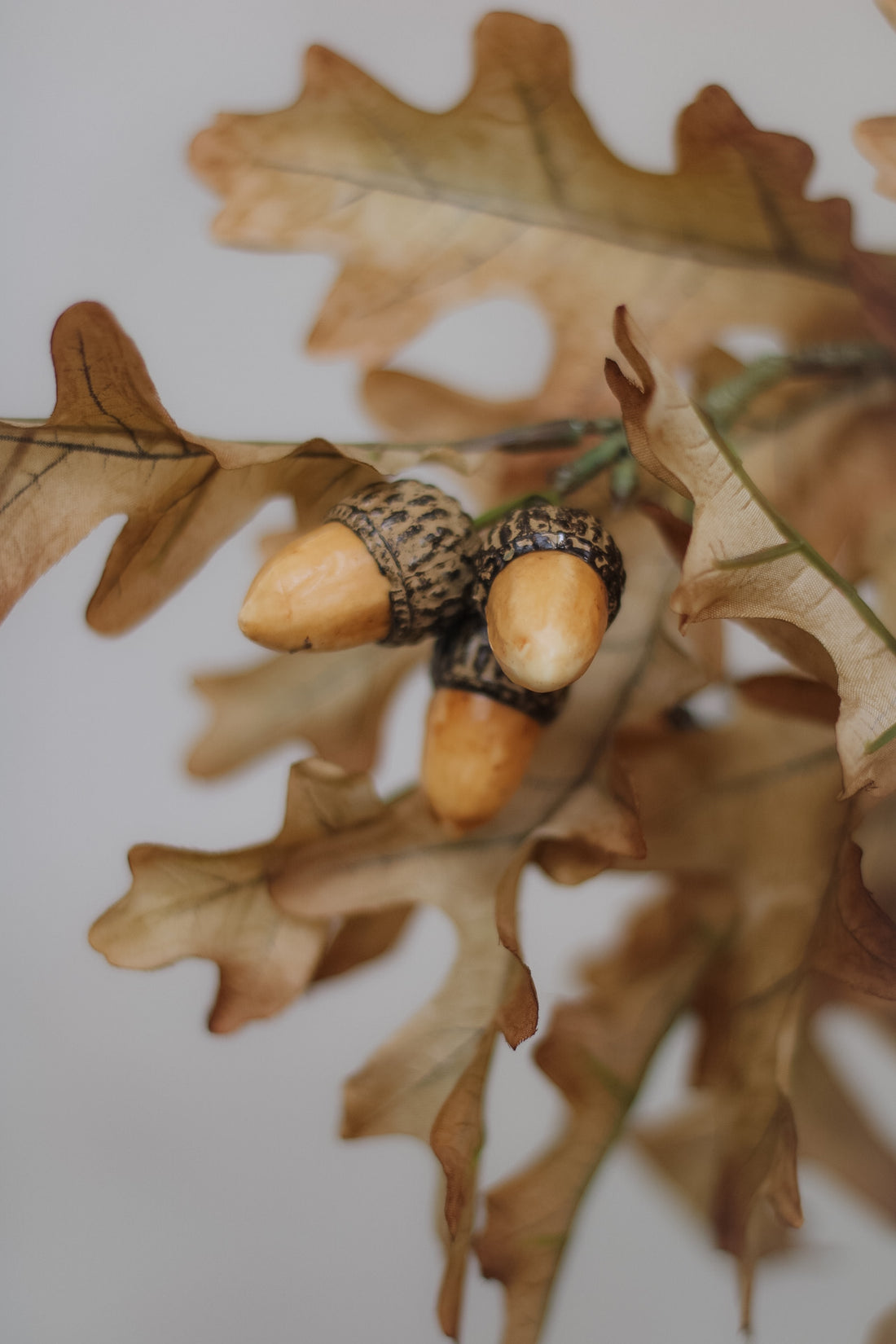 up close faux oak leaves and acorn stem