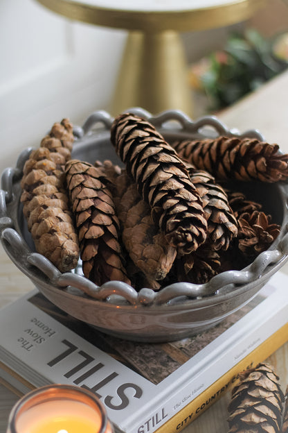 Large Natural Strobus Pine Cones | Bag of 12