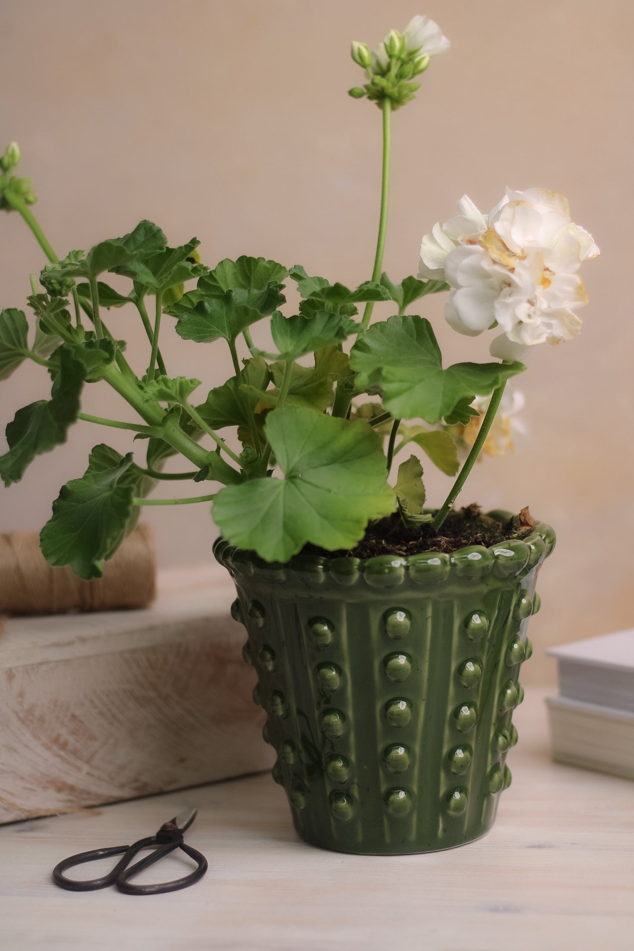 Green bobble planter