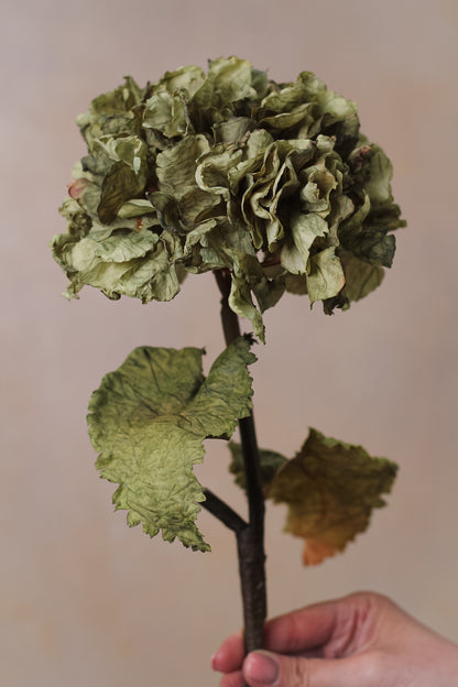 Faux Sage Dried Touch Ruffle Hydrangea