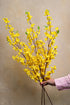Faux Long Stemmed Yellow Forsythia