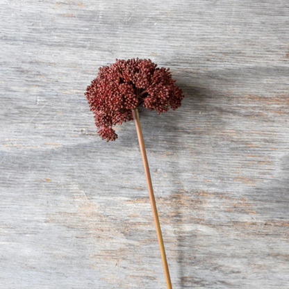 Faux Crimson Seeded Cloud Stem