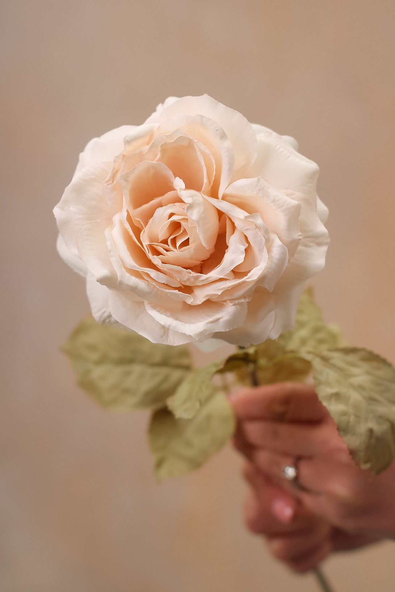 Faux Muted Blush Rose Stem