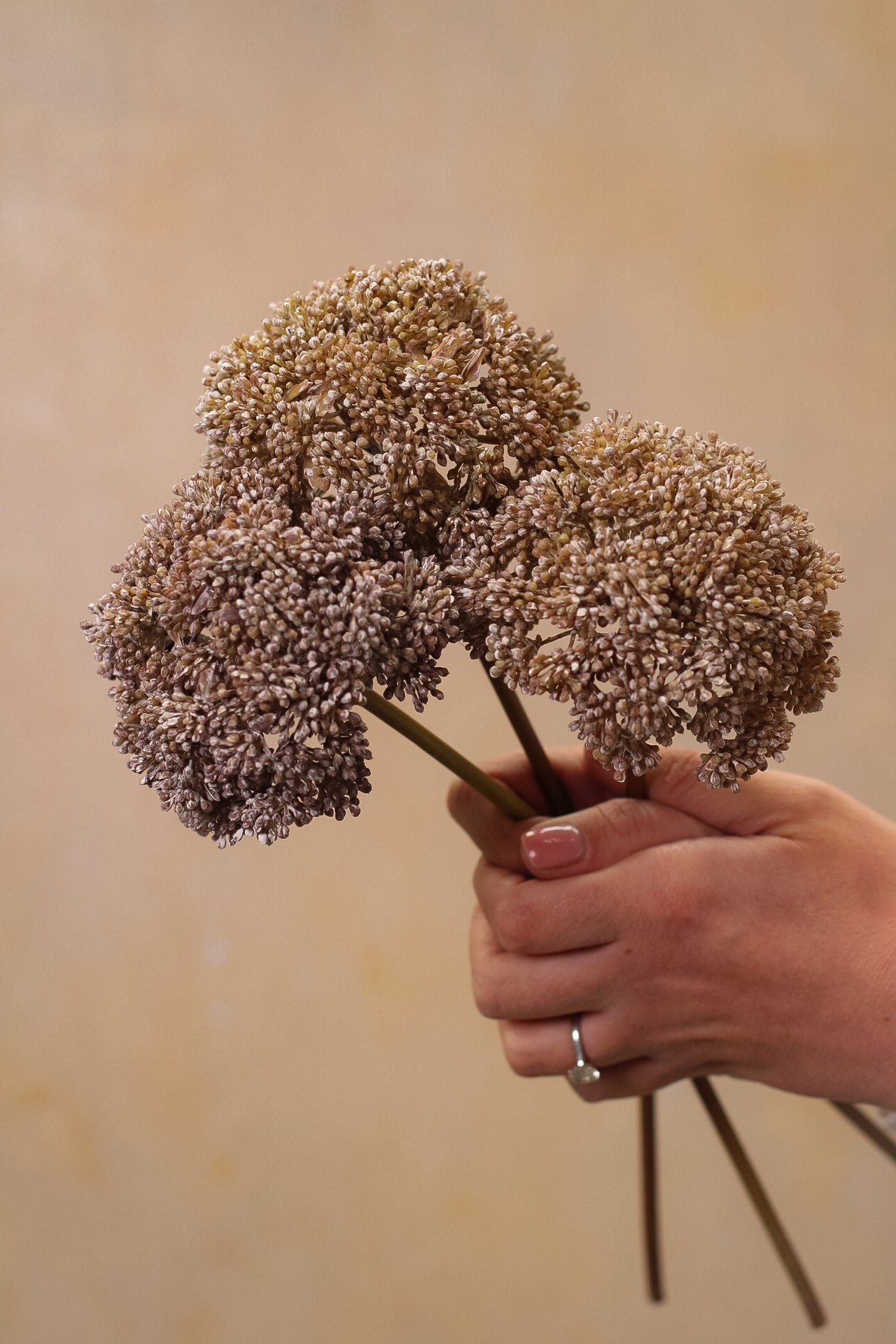 Faux Frosted Sedum Cloud Stem