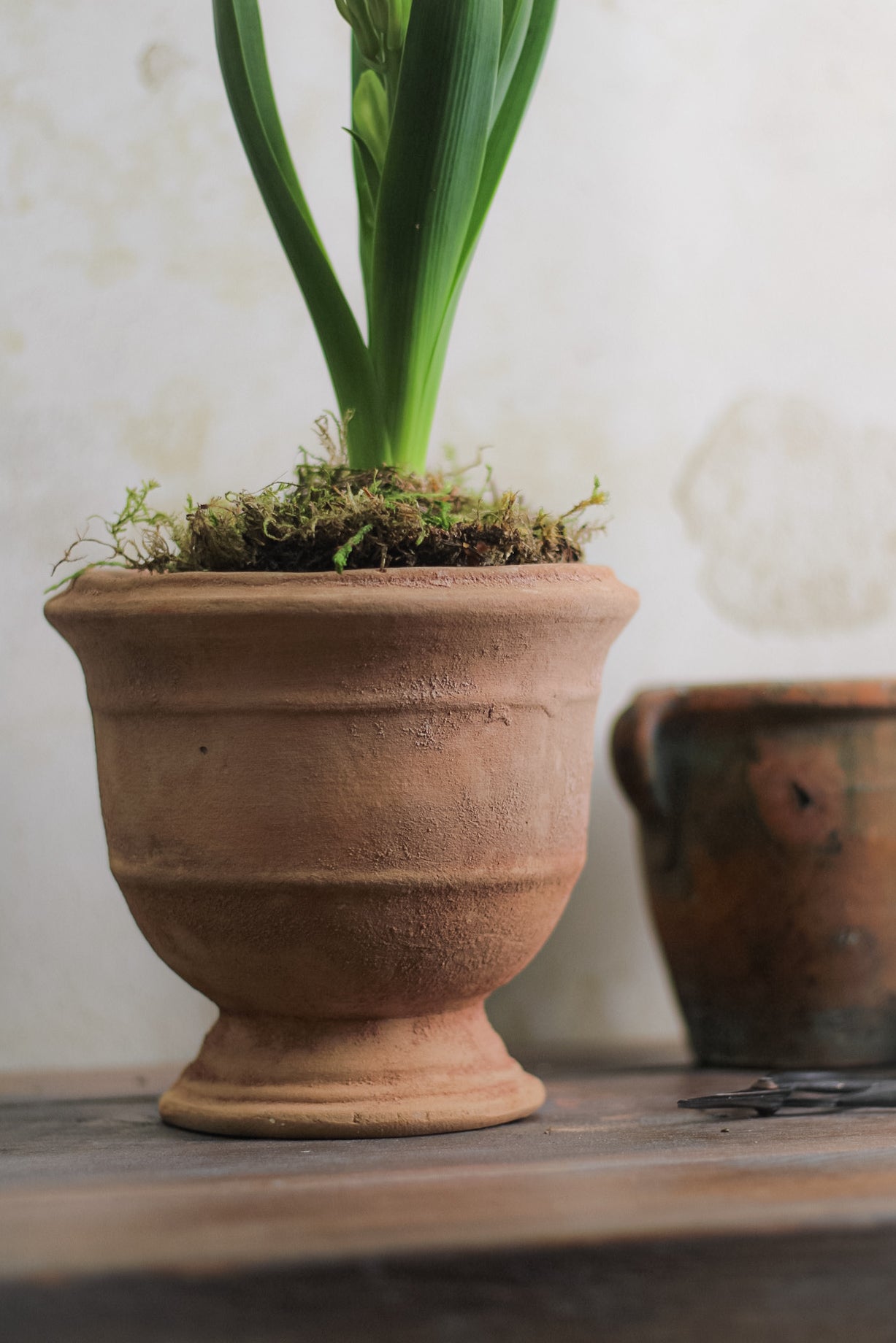 Small Aged Urn Pot