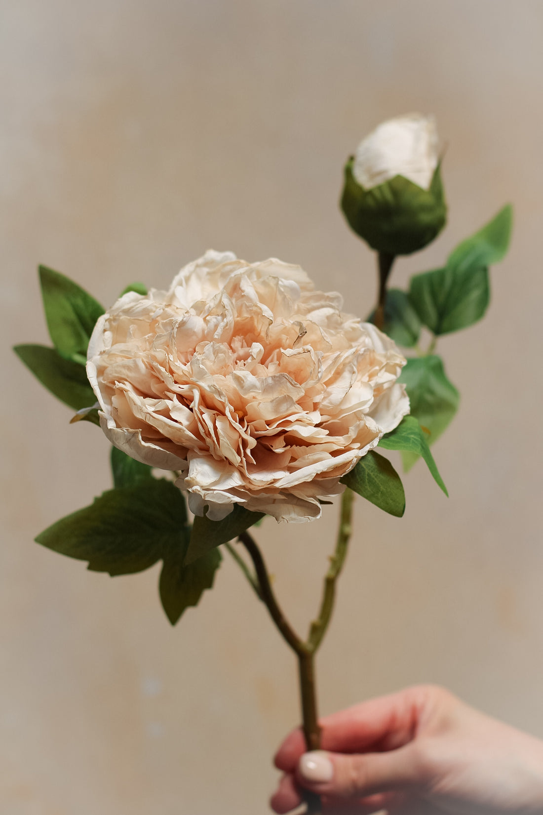 Faux Dried Touch Nude Peony Stem
