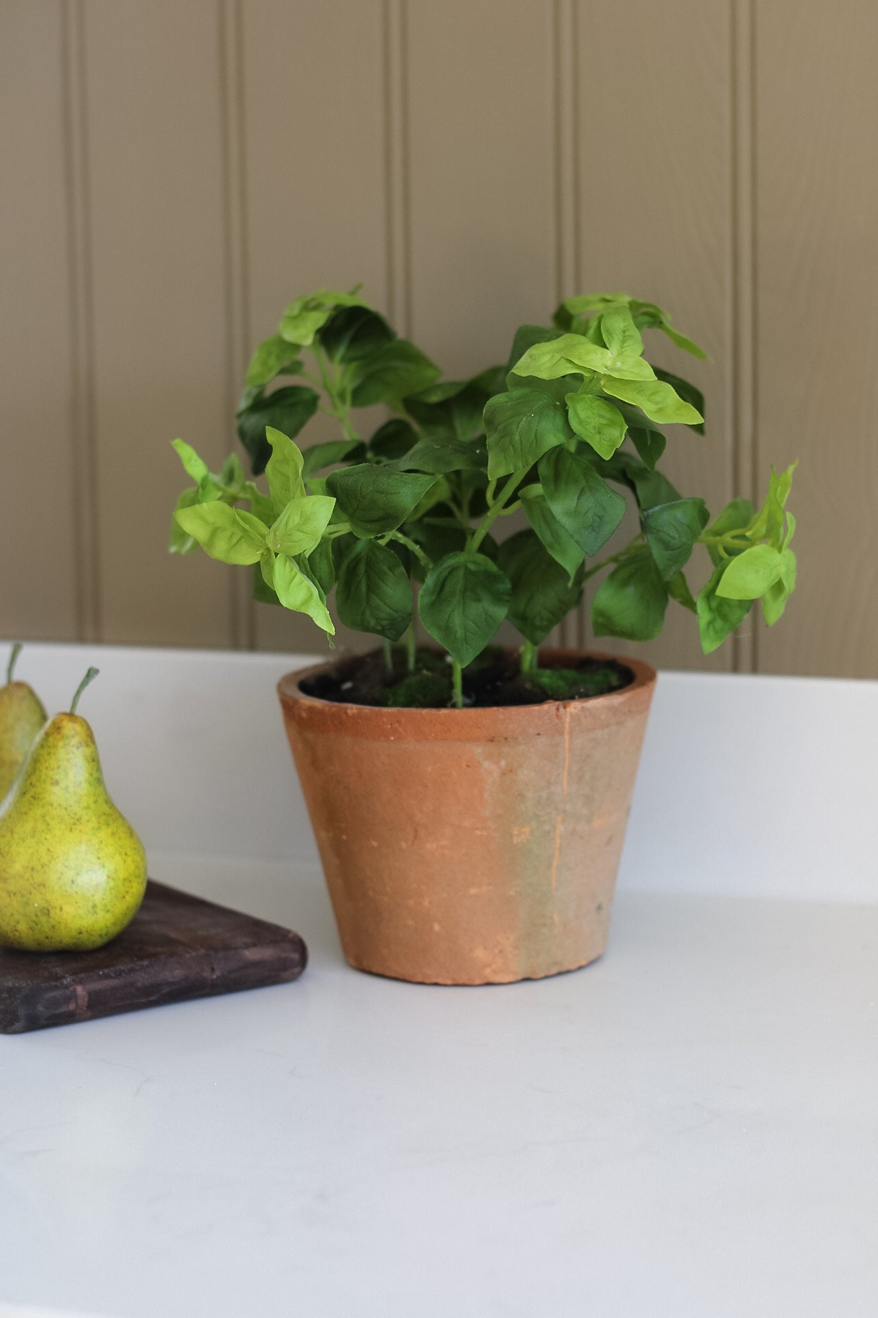 Faux Basil Plant in Rustic Clay Pot 0022