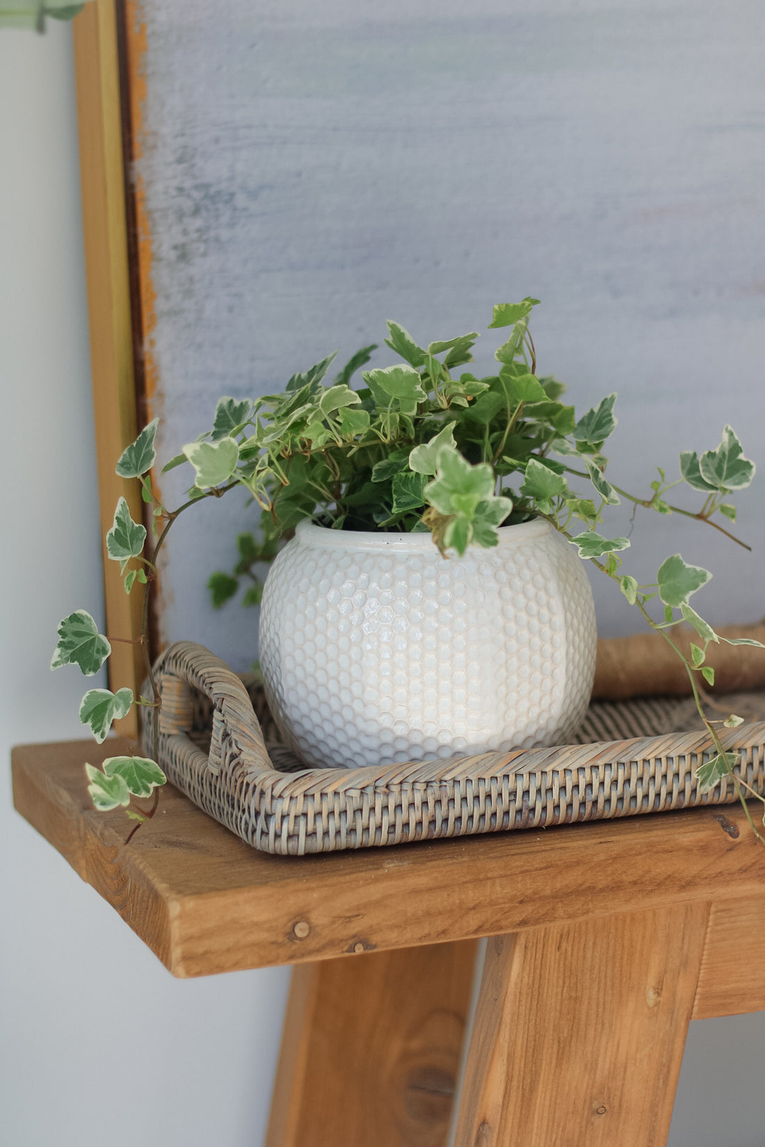 Small Honeycomb Effect White Ceramic Planter