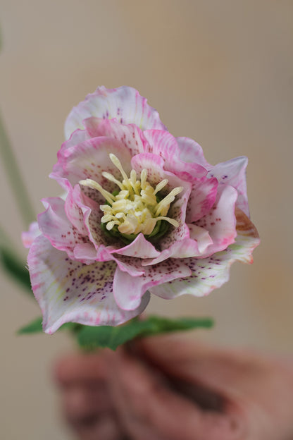 Faux Light Pink Hellebore Spray