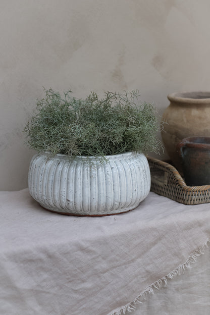 Distressed Cream Ribbed Planter beautiful paired with faux spanish moss