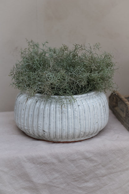 Distressed Cream Ribbed Planter