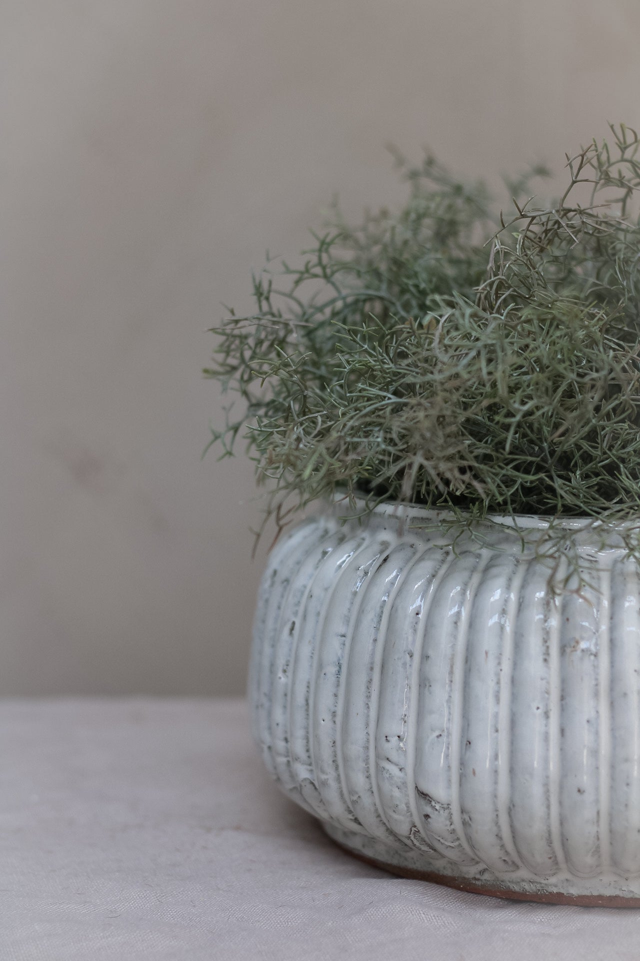 Distressed Cream Ribbed Planter