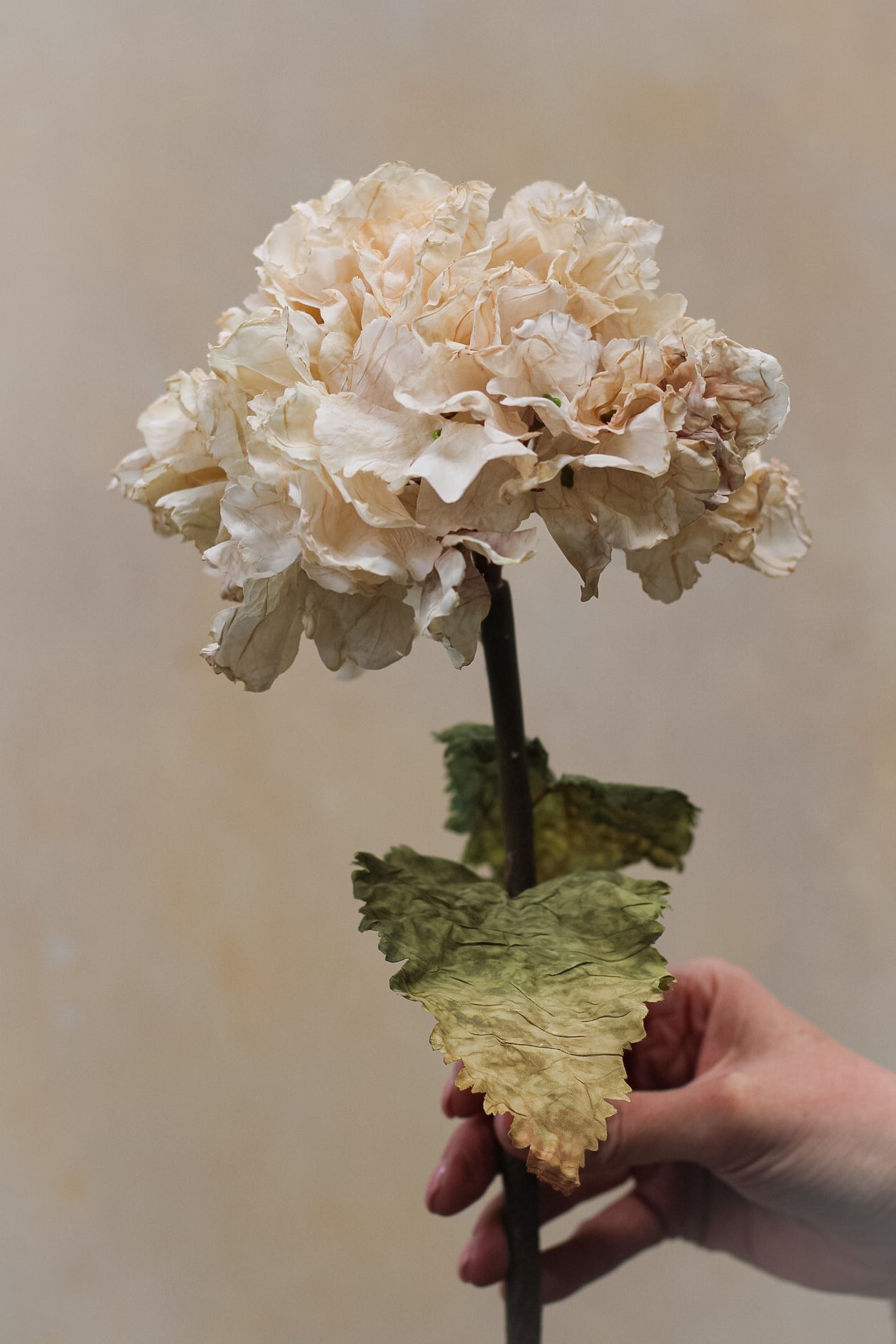 Faux Nude Dried Touch Ruffle Hydrangea