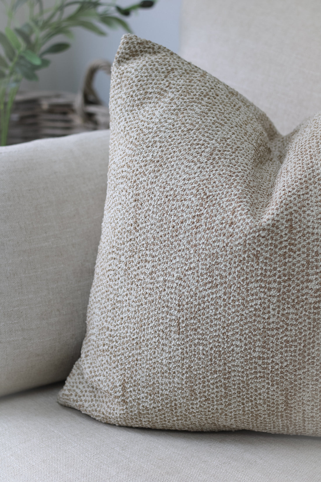 Biscotti Jacquard Woven Cushion