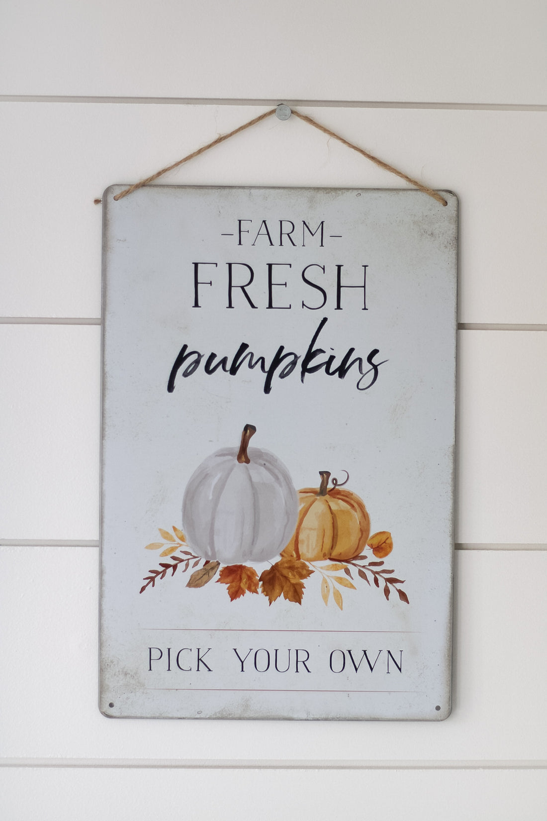 Farm Fresh Pumpkins Metal Sign