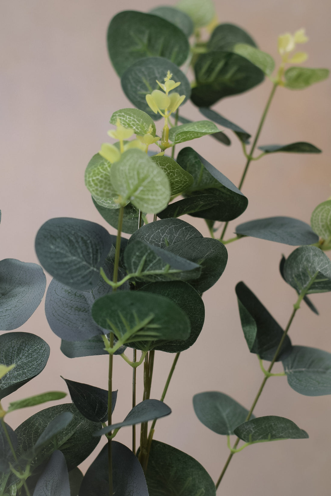 Faux Variegated Cineraria Eucalyptus Stem