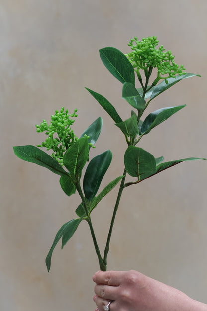 Faux Green Skimmia Stem