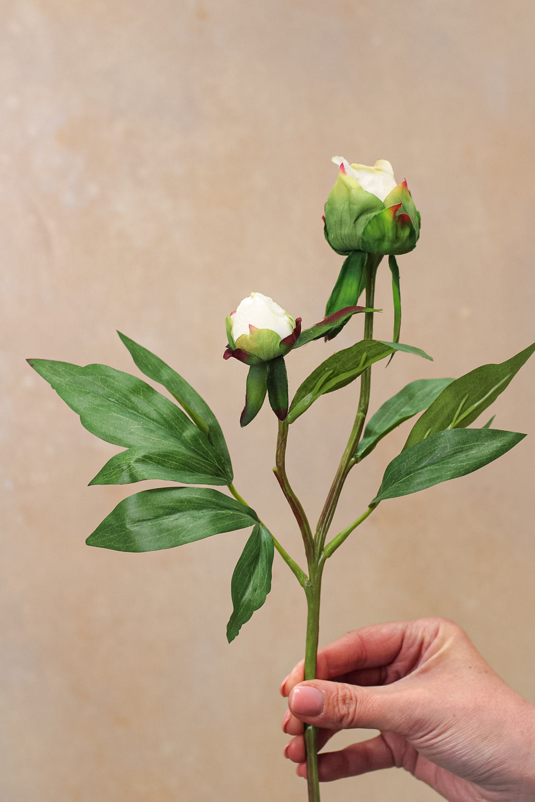 Faux White Tight Bud Peony Spray