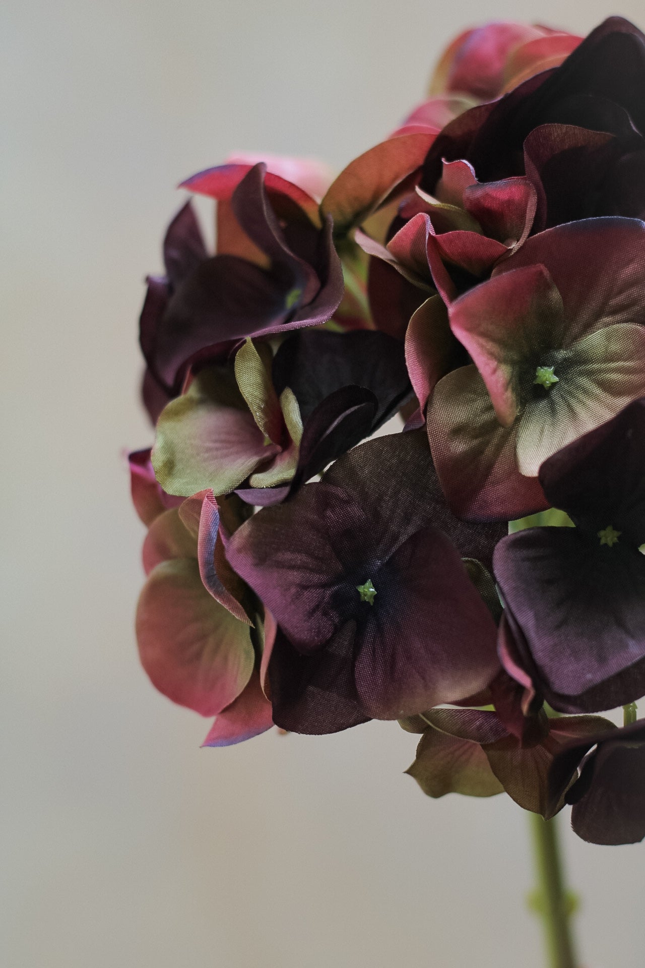 Faux Fig &amp; Olive Hydrangea Stem