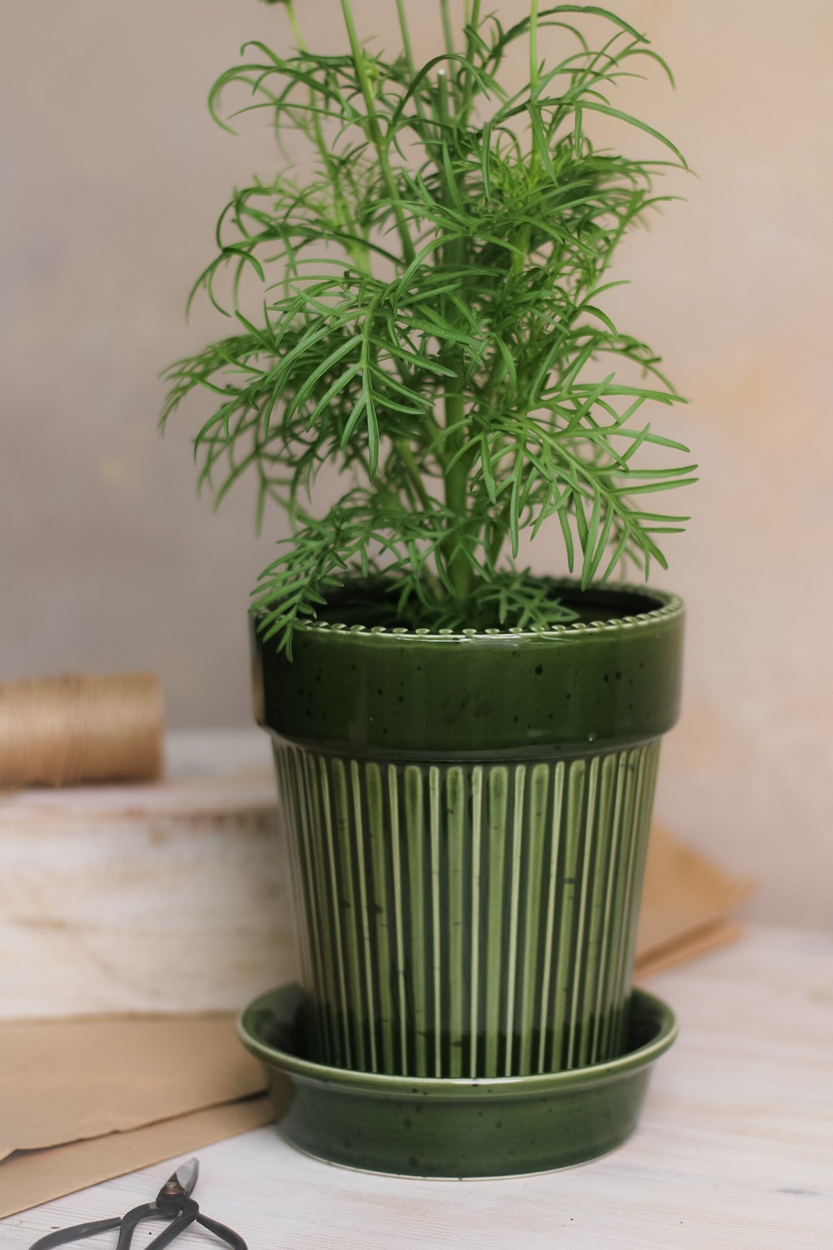 Green Striped Planter