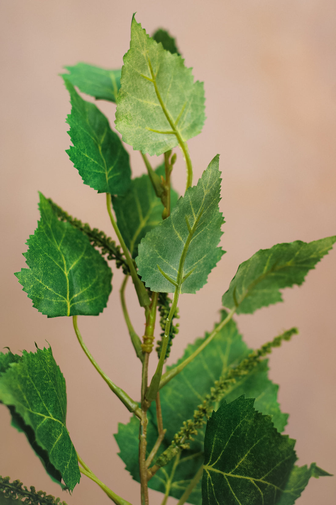 Birch Leaves Spray