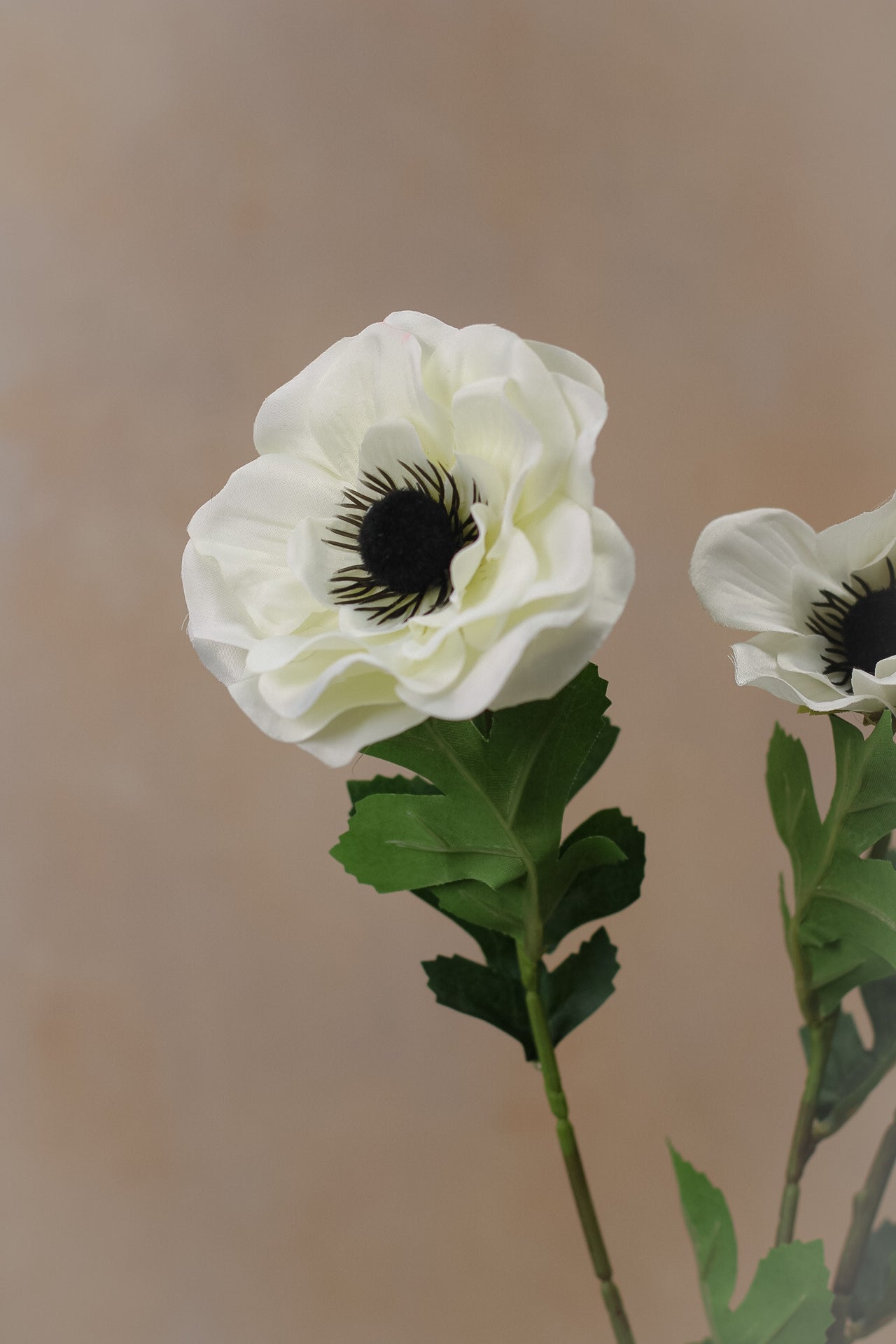 Faux Cream Anemone Spray