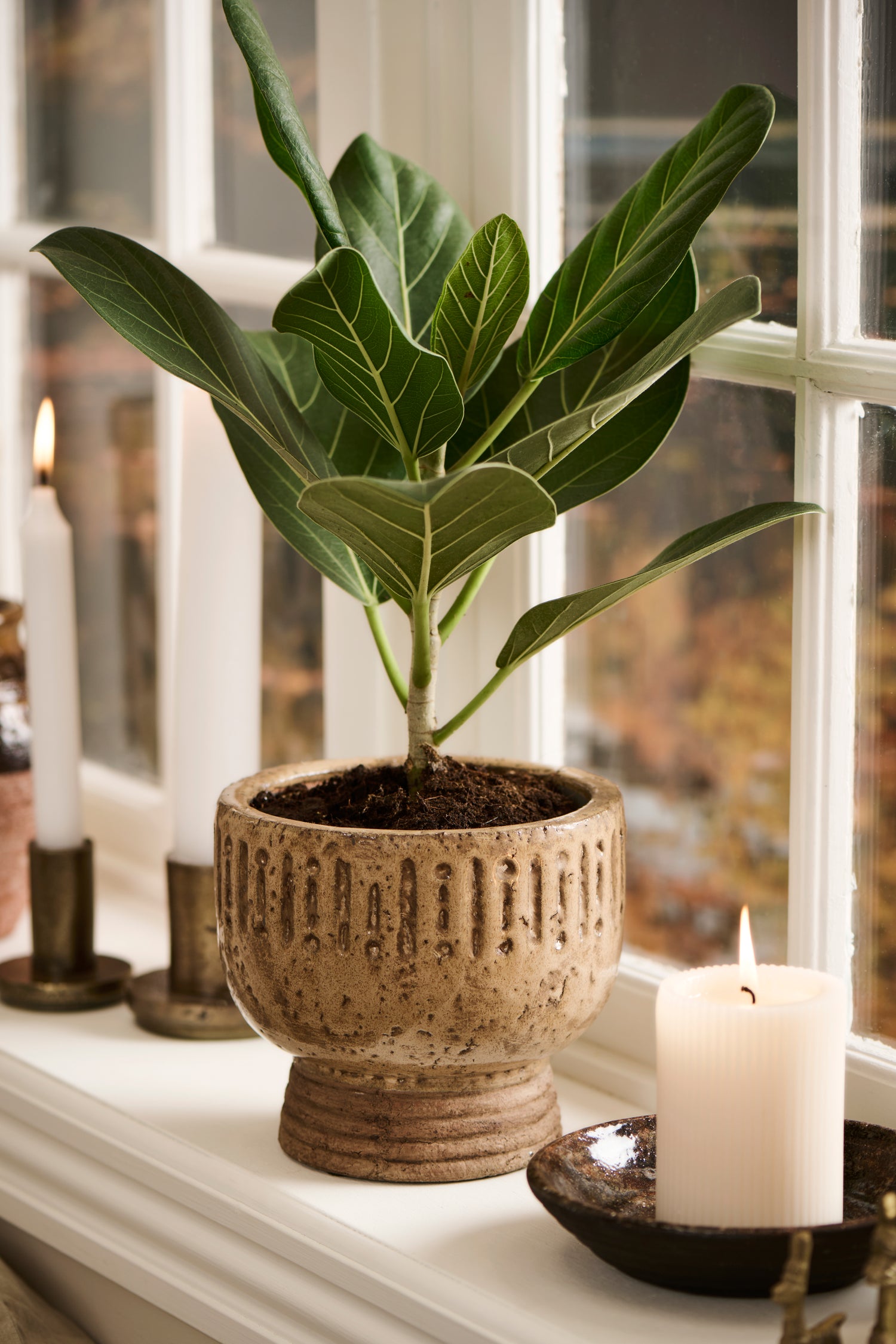 Earth Brown Trophy Planter