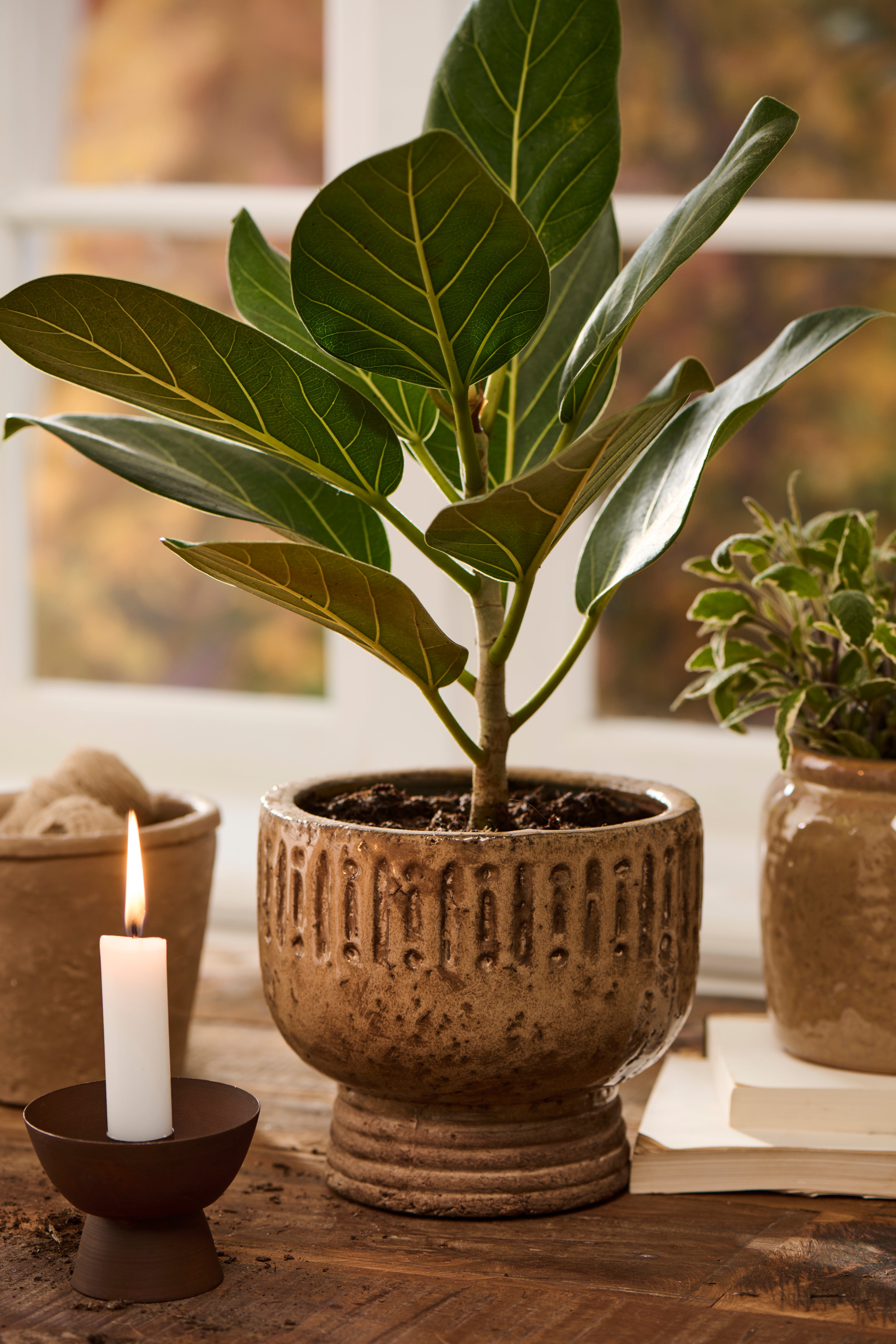 Earth Brown Trophy Planter