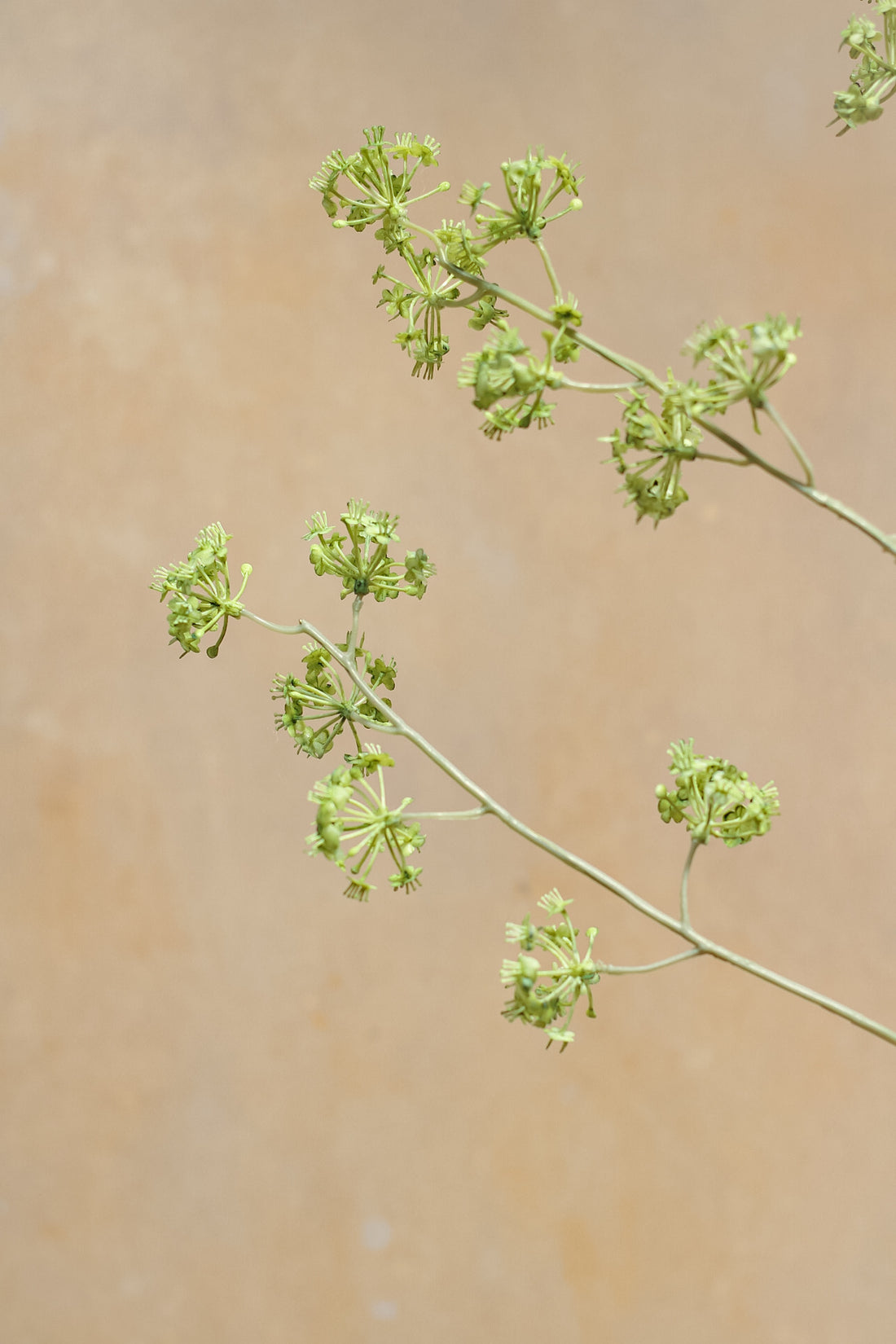 Faux Green Sea Kale Spray