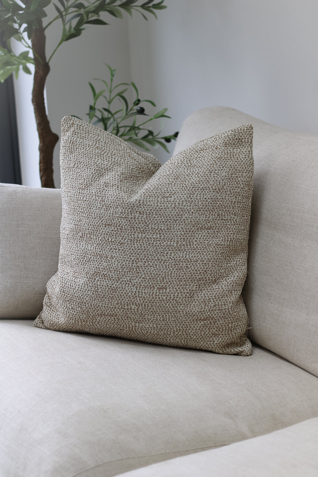 Biscotti Jacquard Woven Cushion