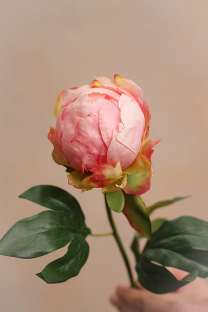 Faux Soft Pink Bud Peony Stem