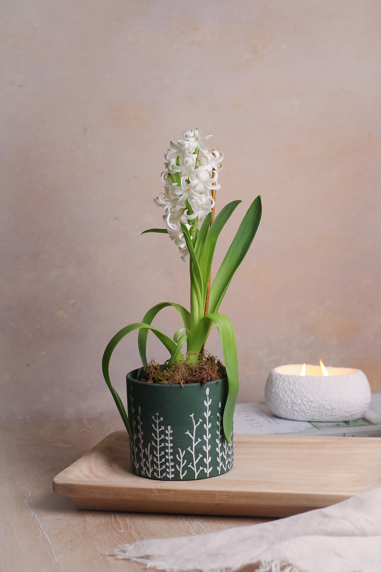 Botanical Etched Moss Planter