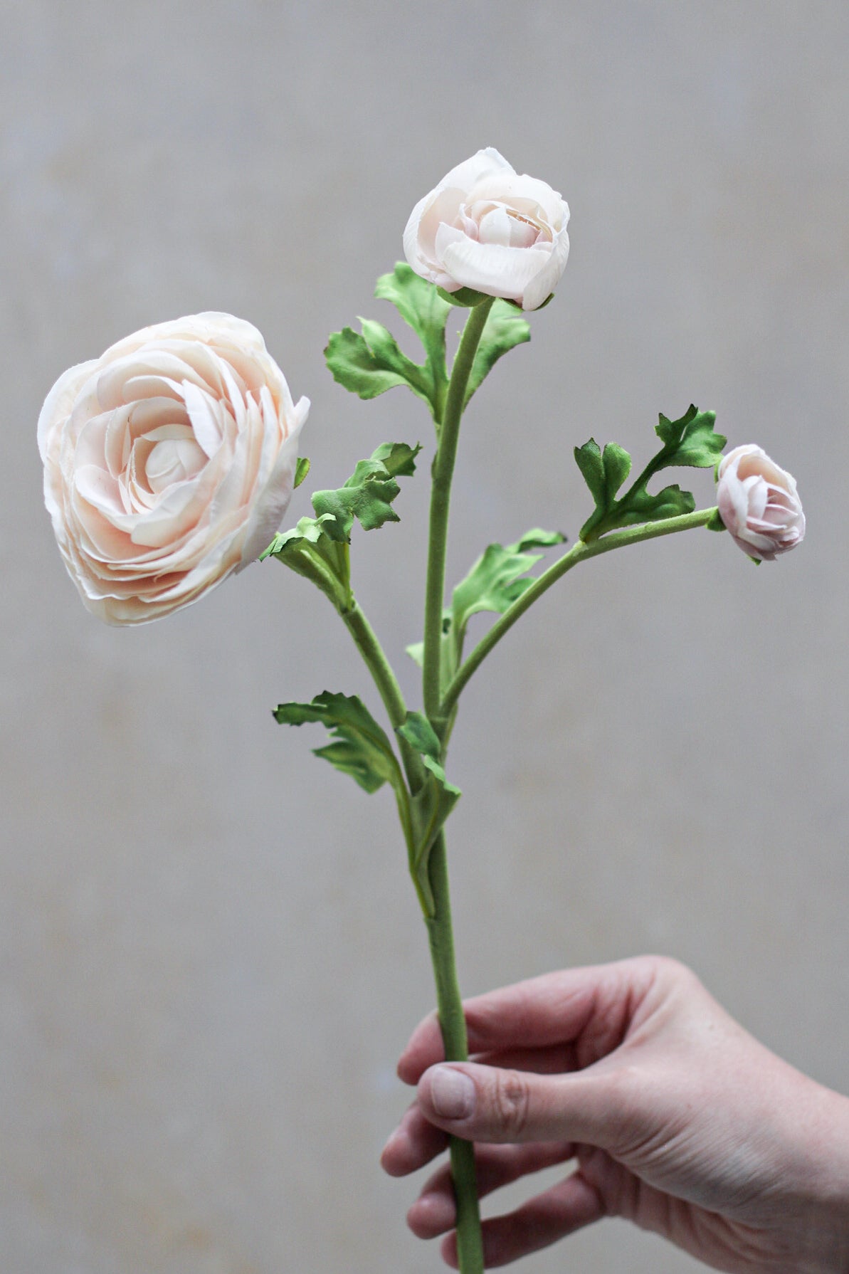 Faux Blush Ranunculus Real Touch Stem