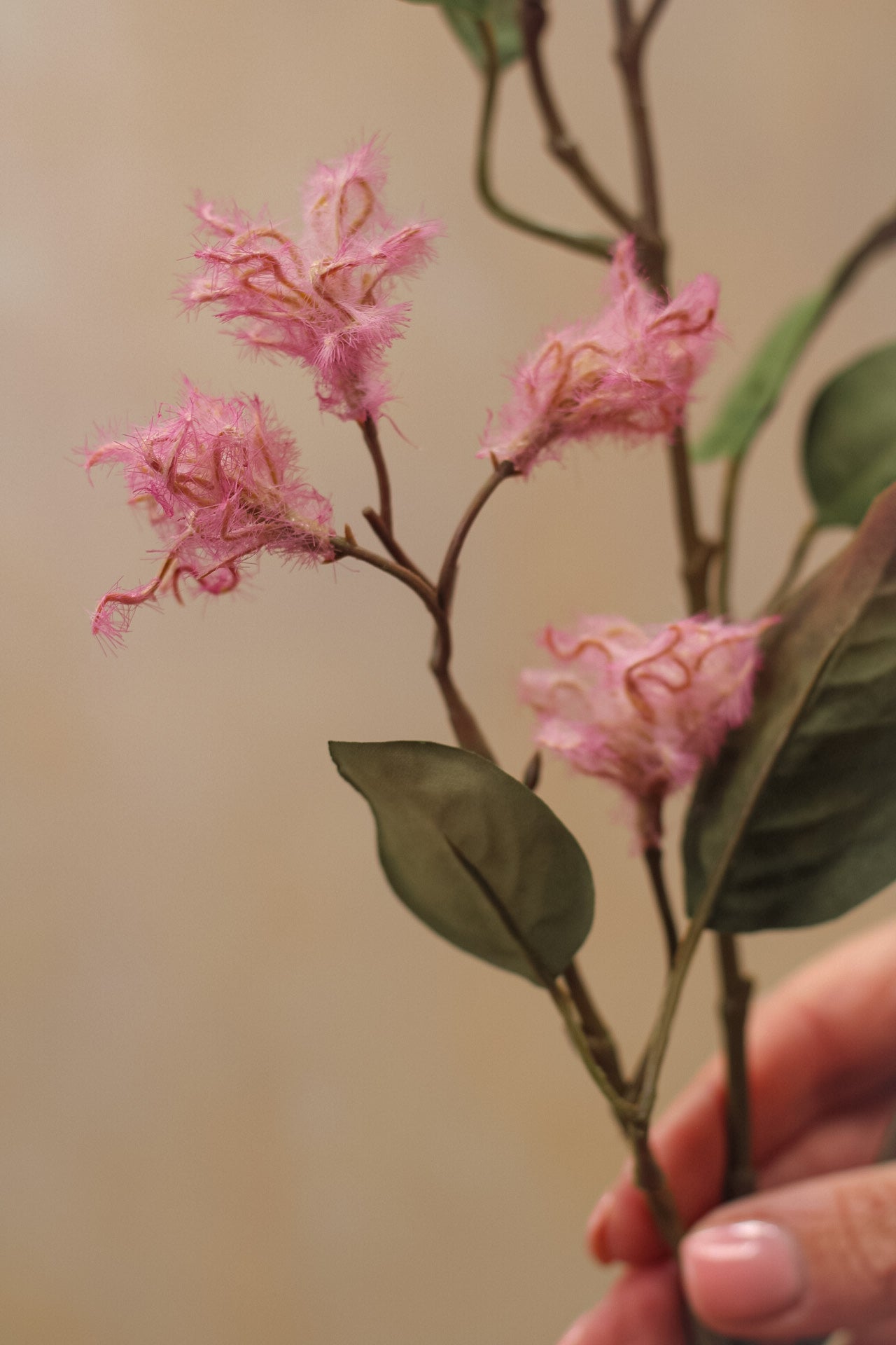 Faux Blush Smoke Bush Spray