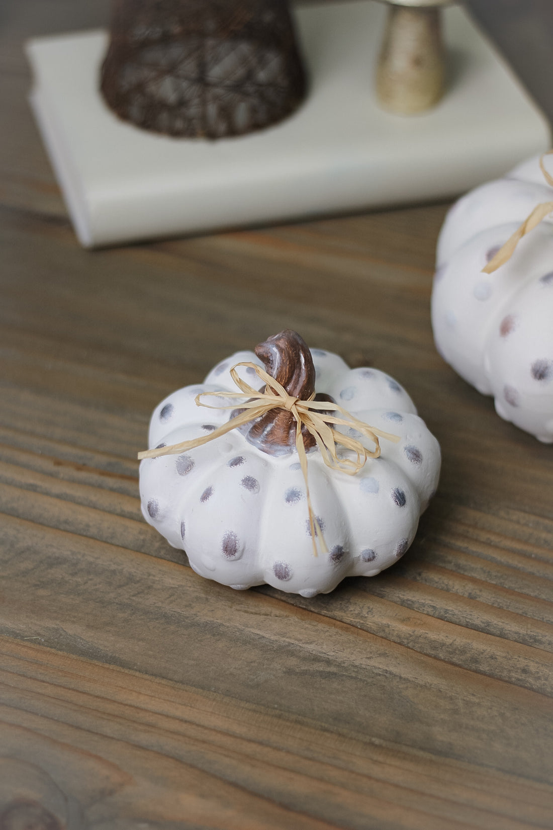 Fairytale Rustic Dotty Pumpkins | Set of 2