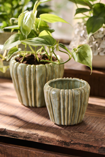 Farmhouse Green Grooved Planter