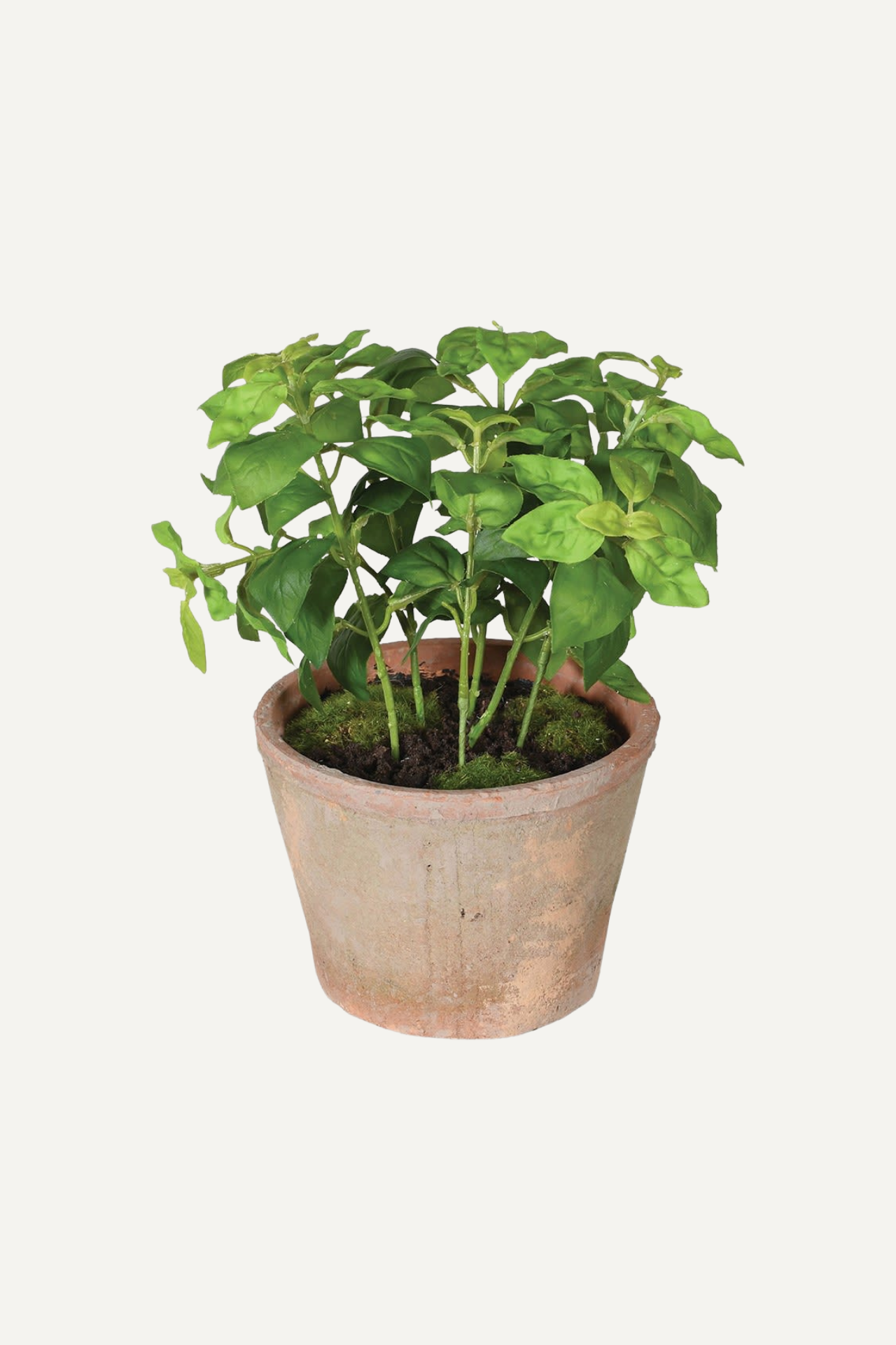 Faux Basil Plant in Rustic Clay Pot