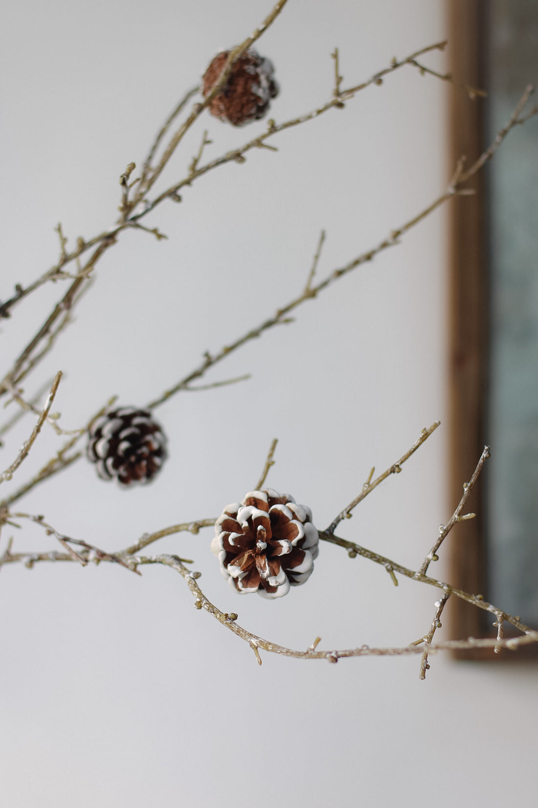 Faux Frosted Pine Cone Branch 005