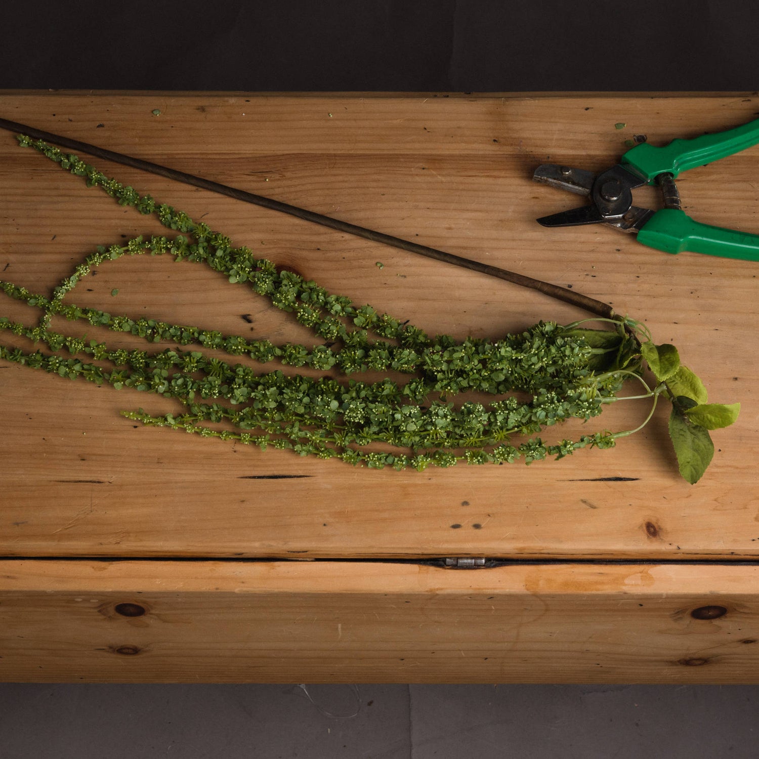 Faux Green Amaranthus Stem