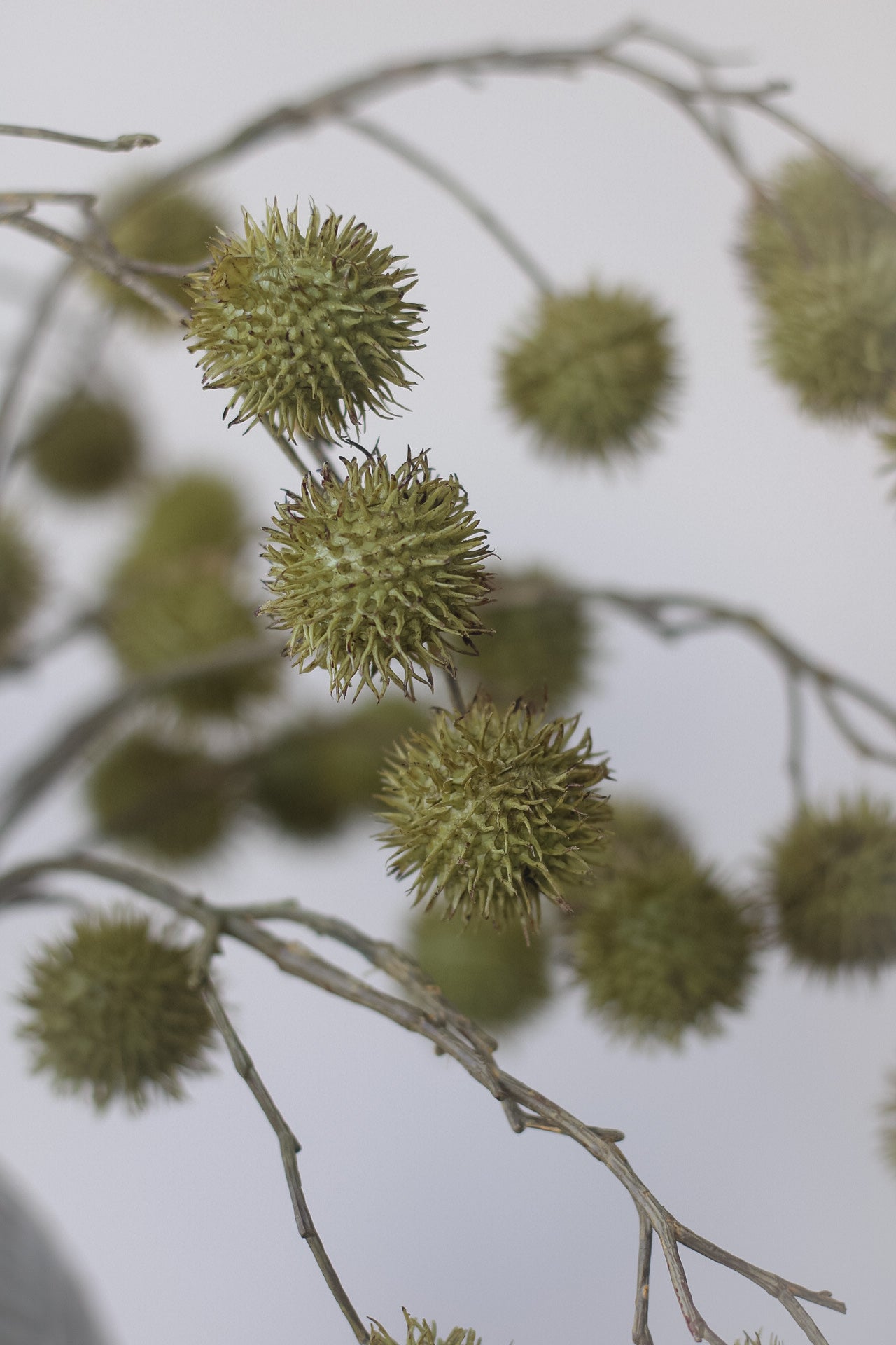 Faux Green Echinops Spray